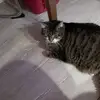 Sylvia Walter - @sylvia.walter51 - TikTok