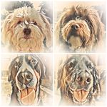 Sylvia Walter - @lipperlandmaedels - Instagram