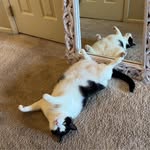 Sylvia Walters - @sylviacorin - Instagram