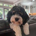 Sylvia Walters - @sylviawalters298 - Instagram