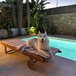 Sylvia Walters - @sylvia.walters.16 - Instagram
