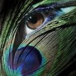 Sylvia J. Weaver - @sylviaj.weaver - Instagram