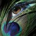 Sylvia Weaver - Facebook