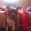 live Love laugh - @sylvia.weber73 - TikTok