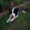 Sylvia Weber - @sylvia.weber6 - TikTok