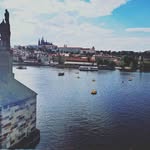 Sylvia Weber - @sylviaweber786 - Instagram