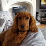 sylvia welsh - @belle500_ - Instagram
