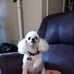 Sylvia Wiley - Facebook