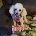 Sylvia Wiley - Facebook
