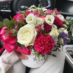 Sylvia Wise - @sylviawise1 - Instagram