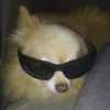 sylvia Ohlwine - @sylvia.0 - TikTok