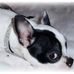 Sylvia Woolwine - Facebook