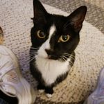 Sylvia Wray - @sylvia.wray.733 - Instagram