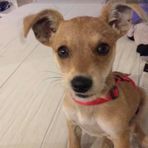 Sylvie Jimenez - Facebook