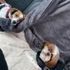 sylviejones1972 - @sylviejones1972 - TikTok