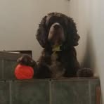 Sylvie Lamarre - Facebook