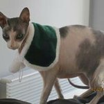 Sylvie Leclerc - @sylvieleclerc0000 - Instagram