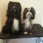 Sylvie Leclerc - @sylvie.leclerc.3194 - Instagram