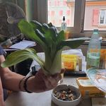 Sylvie Leclerc - @sylvie.leclerc.737 - Instagram