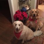 Sylvie Murphy - Facebook