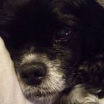 Sylvie Perry - @sylvie.perry.33 - Instagram