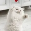sylviewarren - @sylviewarren - TikTok