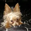 Symone Green - @symone.green - TikTok
