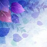 Symphony Grace - @symphony_grace - Instagram
