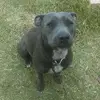 🐶synthia🐶 - @synthiabella - TikTok