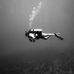 Synthia Noble - Facebook