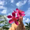 Synthia - @synthiasanchez82 - TikTok