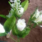 Sarita Baten - Facebook