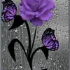 Syreeta Johnson - @deelove393 - TikTok