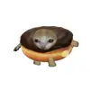 nutszelaw - @jdonuttszz - TikTok