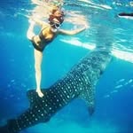 Sze Wan Lam - @szewanlam - Instagram