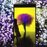 Szewan Wong - @szewan730 - Instagram