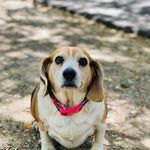 Tab Miller - @_tab.miller_ - Instagram
