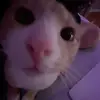 tab - @tabsmith - TikTok