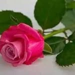 tabassum baig - @tabassum_nazim_baig - Instagram