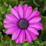 Tabassum Baig - @tabassumbaig64 - Instagram