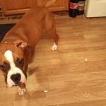 Best Tabatha Gayle - @tabatha.best.75 - Instagram
