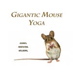 Tabitha Booth CYT200 Shambhava - @giganticmouseyoga - Instagram