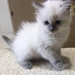 tabatha bowen - @unrealtabs - Instagram