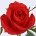 Tabatha Branch - Facebook