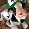 Tabatha Campos Ruiz - @tabatha_campos2010 - TikTok