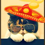 Tabatha Carruthers - @tabycat02 - Instagram