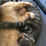 CT - @carson_and_tabatha - Instagram