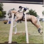Tabitha Case - @tabithacase1 - Instagram