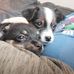 Tabby Chambers - Facebook