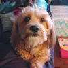 tabithaclevenger - @tabithaclevenger - TikTok